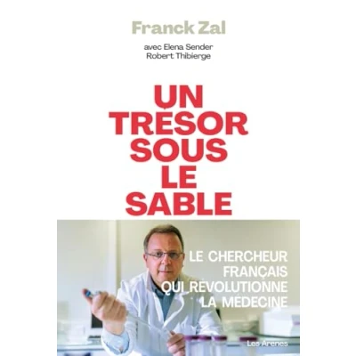Afbeelding van Un tresor sous la sable