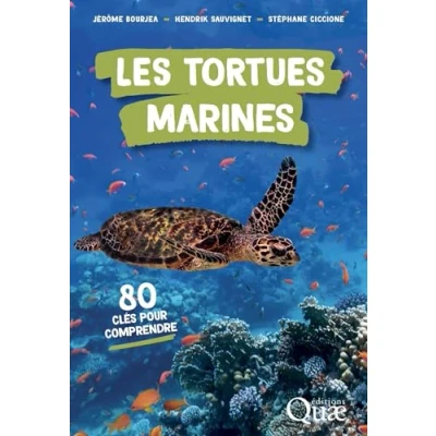 Afbeelding van Les tortues marines: 80 clés pour comprendre