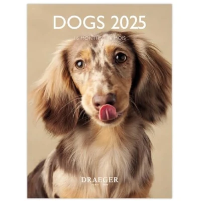 Afbeelding van DRAEGER PARIS Kleine wandkalender 14 x 18 cm 2025 september 2024 tot december 7 talen 12 foto&#039;s beschikbaar honden organisatie van je dagen