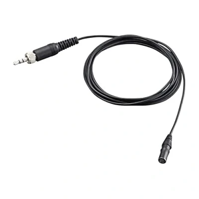 Afbeelding van Zoom LMF 2, Microfoon