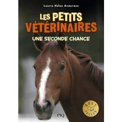 Afbeelding van Une seconde chance