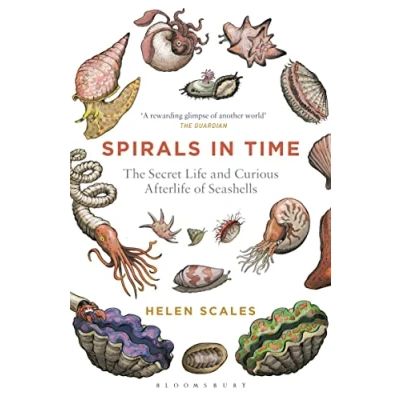Afbeelding van Spirals In Time