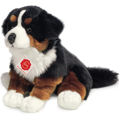 Afbeelding van Hermann Teddy Berner Sennenhond 928713