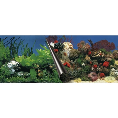 Afbeelding van Ebi Foto Achterwand Stone &amp; Coral 50 cm
