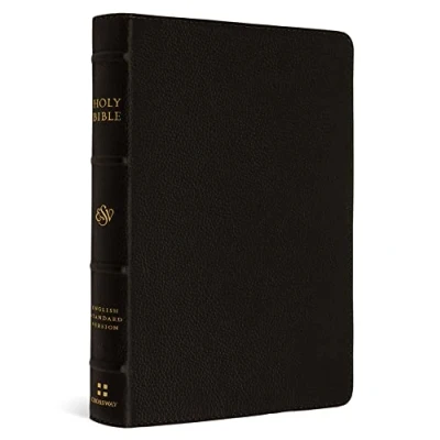 Afbeelding van ESV Large Print Compact Bible