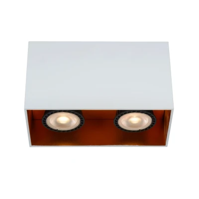 Afbeelding van Lucide BIDO Plafondspot 2xGU10 Wit