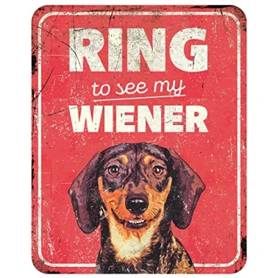 Afbeelding van D&amp;d Home Waakbord Hond Waarschuwingsbord Dachshund En 25x20x0,3cm Rood 1st