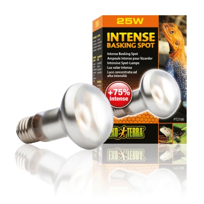 Afbeelding van Exo Terra Intense Basking Spot Verwarming 25 Watt