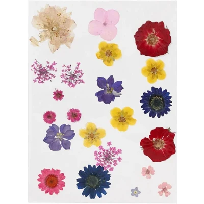 Afbeelding van Gedroogde Bloemen en Bladeren Diverse Kleuren