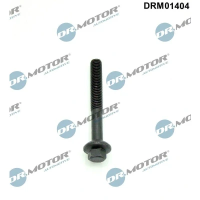 Afbeelding van DR.MOTOR AUTOMOTIVE DRM01404 Schroef, inspuitstukhouder RENAULT: MEGANE 2 Kombi, Kangoo II / Grand Kangoo, 3 Grandtour, DACIA: LOGAN MCV