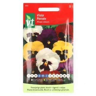 Afbeelding van Bloemzaden Viooltjes VT (Gemengd)