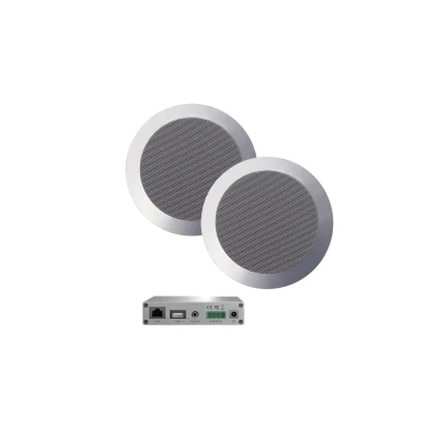 Afbeelding van WIFI Audiosysteem incl twist speakers (mat chroom) 30 WATT