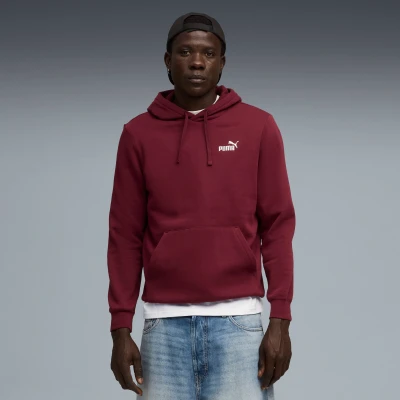 Image de SweatÃ  capuche avec petit logo NÂÂ 1 Essentials Homme