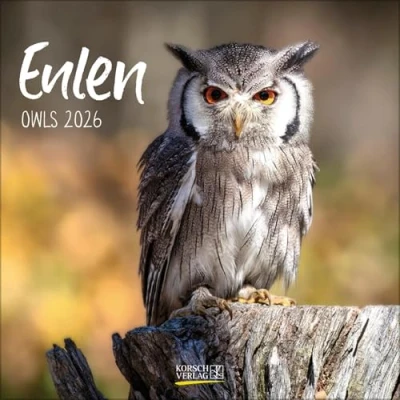 Afbeelding van Owls kalender 2026
