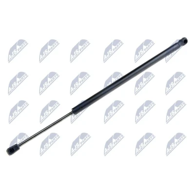 Afbeelding van NTY AE BM 055 Gasveer achterklep 710 523