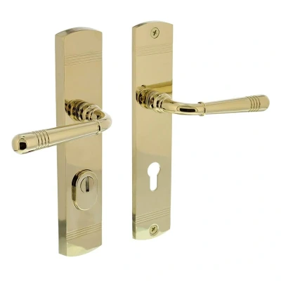 Afbeelding van Intersteel Achterdeurbeslag Helena 239x50mm kruk/kruk profielcilindergat 72mm met kerntrekbeveiliging PVD messingkleur