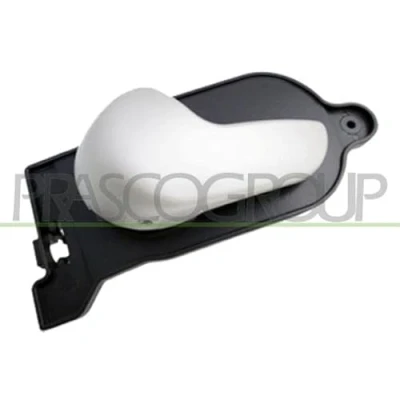 Afbeelding van PRASCO FD3408608 Deurgrepen Binnen, Links achter, voor beige FORD: FIESTA 5