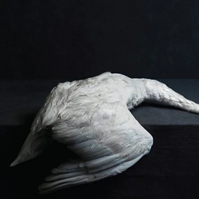 Afbeelding van Amenra Mass VI (CD)