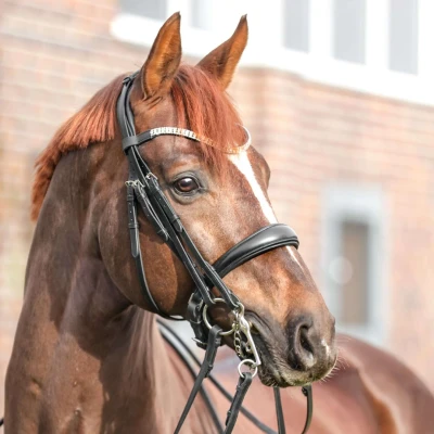 Afbeelding van Kavalkade Stang en Trenshoofdstel Sonya Zwart Full