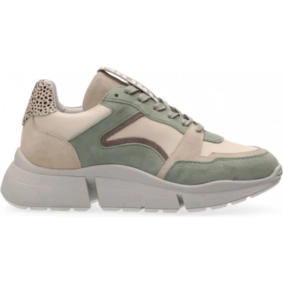 Afbeelding van Maruti Cody Sneakers Groen Green 36