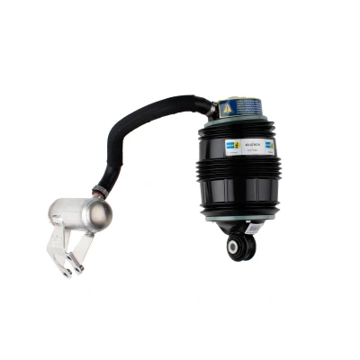 Afbeelding van Bilstein Veer 40 076676