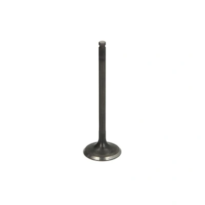 Afbeelding van FRECCIA R6743/SNT Inlaatklep 28 Klepsteel met nitraat verzien, Klepsteeleind gehard
