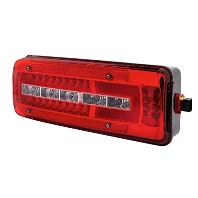 Afbeelding van Achterl Daf 13 li full led ADR/GGVS 2VD 012 381 211
