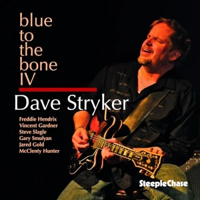 Afbeelding van Dave Stryker Blue To The Bone IV (CD)
