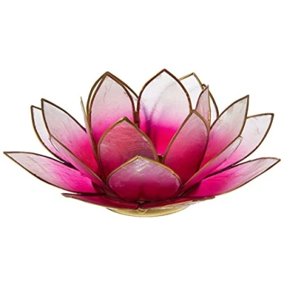 Afbeelding van Find Something Different Lotus Capiz theelichthouder lichtroze