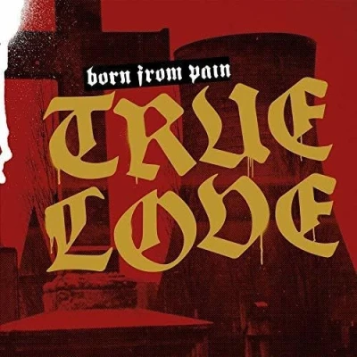 Afbeelding van Born From Pain True Love (LP)