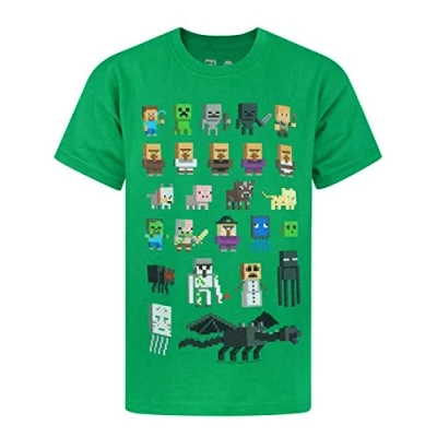 Afbeelding van Minecraft Sprites Characters jongens T shirt met korte mouwen blauw, Groen