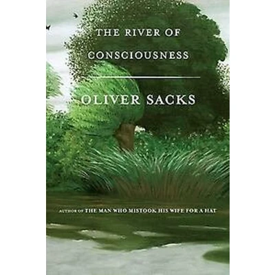Afbeelding van The River of Consciousness