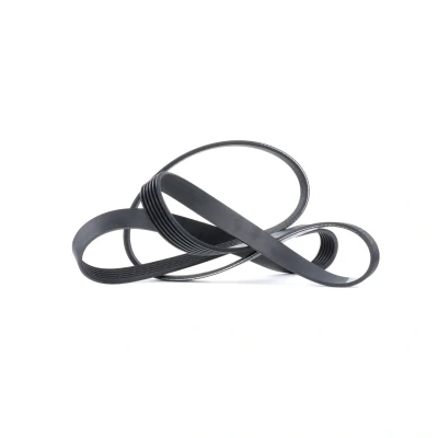 Afbeelding van Poly V riem DAYCO 6PK1725