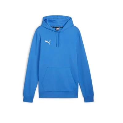 Afbeelding van PUMA Teamgoal Casuals hoodie voor heren