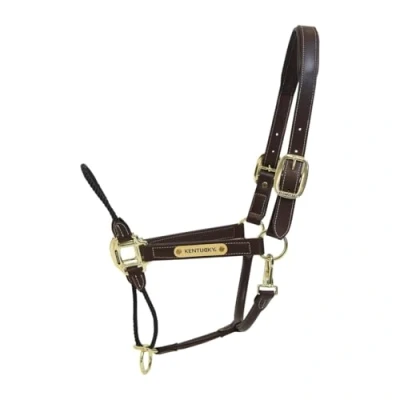 Afbeelding van Kentucky Horsewear Halster FULL Bruin Vegan Leder