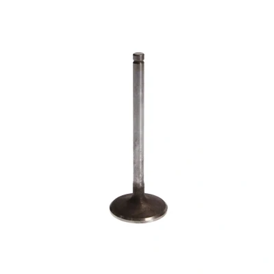 Afbeelding van Inlaatklep FRECCIA R6094/SCR