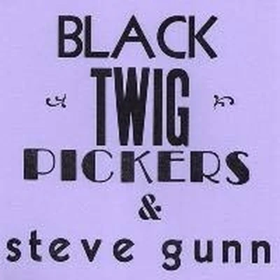 Afbeelding van Black Twig Pickers &amp; Steve Gunn Lonesome Valley (7&quot; Vinyl Single) (Limited Edition)
