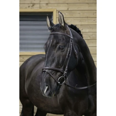 Afbeelding van Riding World Hoofdstel met Gecombineerde Neusriem Cob
