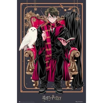 Afbeelding van Poster Harry Potter Wizard Dynasty 61x91,5cm