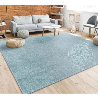 Afbeelding van Paco Home Vloerkleed Woonkamer Effen Eenvoudig En Modern Laagpolig, Versch. Afmetingen Kleuren 80x150 cm