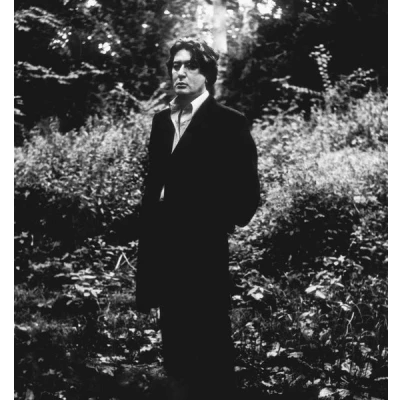 Afbeelding van Alain Bashung L&#039;imprudence (2 LPs)