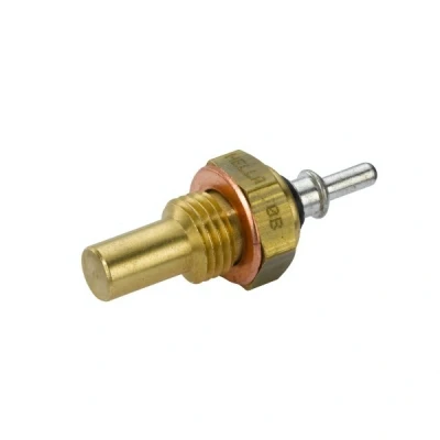Afbeelding van Hella Temperatuursensor 6PT 009 107 251