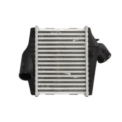 Afbeelding van THERMOTEC DAM027TT Intercooler SMART: Fortwo II Coupe