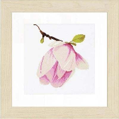 Afbeelding van Lanarte Magnolia in knop 0008161