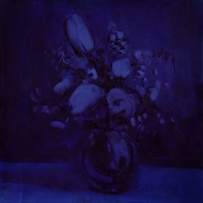 Afbeelding van Deaf Wish Lithium Zion (LP)