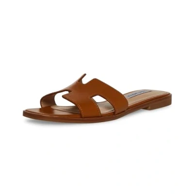 Afbeelding van Damessandalen Steve Madden Hadyn