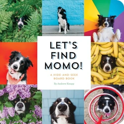 Afbeelding van Let&#039;s Find Momo!