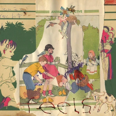 Afbeelding van Animal Collective Feels
