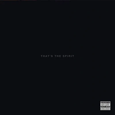 Afbeelding van Bring Me the Horizon That&#039;s Spirit (2 LPs)
