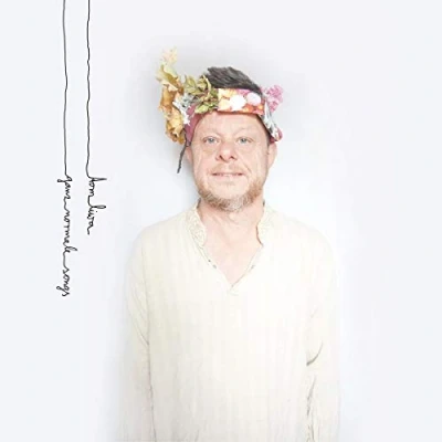 Afbeelding van Tom Liwa Ganz Normale Songs (LP)